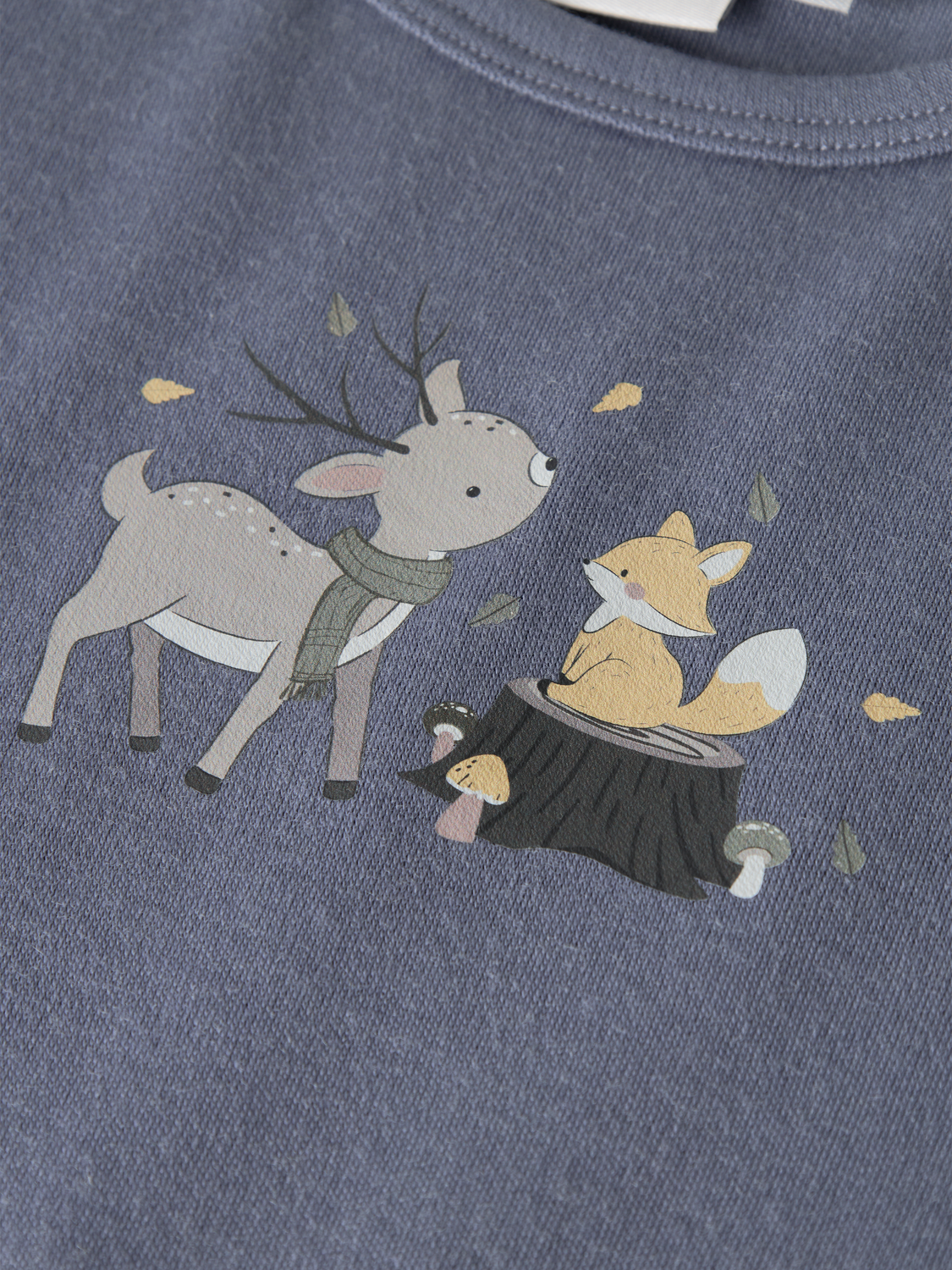 model_shot-front_full